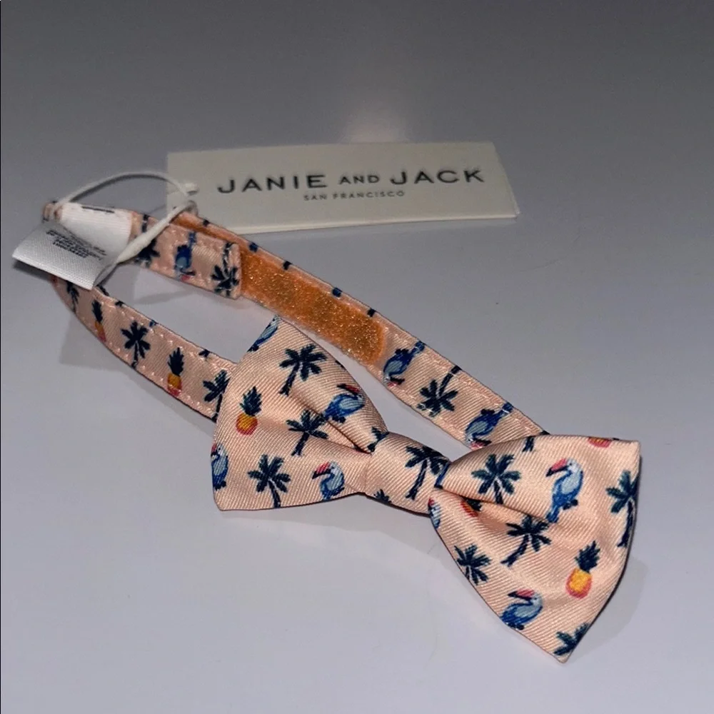 Janie and Jack Pink and Blue Bow Tie